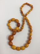 A graduated string of yellow amber beads. Approx.