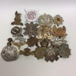 A large collection of cap badges. Est. £20 - £30.