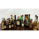 A selection of various miniature bottles of wines and spirits, to