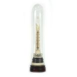 A 19th century ivory thermometer by Geddes, Royal Adelaide Gallery, under a glass dome,
