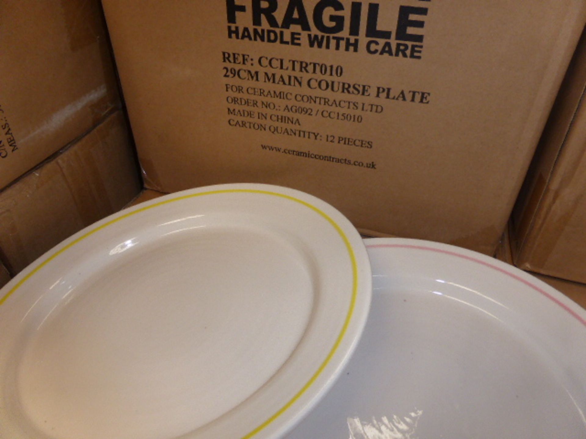12 29cm main course dinner plates in white finish with multi colour banding
