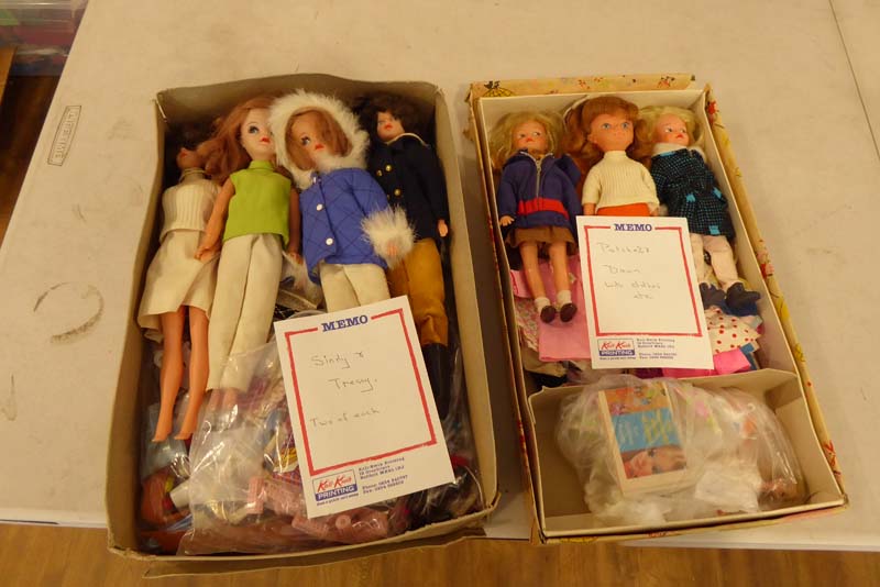 A mixed group of dolls including Sindy, Patch, Dawn and Tressy, - Image 3 of 8