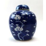 A Chinese blue and white ginger jar and cover decorated in the prunus blossom pattern, h. 24.