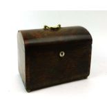A Regency rosewood and crossbanded dome topped tea caddy on brass bun feet, w.