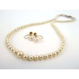 A single strand cultured pearl necklet, l.