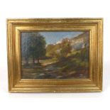 English School, 20th century, A woodland study, unsigned, oil on artists' board, 19 x 27.