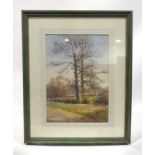 In the manner Sylvester Stannard, Trees in autumn, unsigned, watercolour, 36 x 25.
