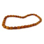 A graduated amber bead necklace, 80.