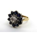 A 9ct yellow gold cluster ring set single diamond in a border of ten sapphires, ring size L, 4.