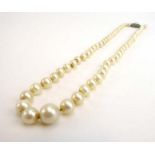 A single strand cultured pearl necklace with silver and marcasite set clasp, largest pearl d. 8 mm.