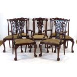 A set of eight 19th century mahogany dining chairs on cabriole legs with ball and claw feet,