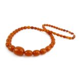 A butterscotch amber graduated bead necklace, 77 gms, overall l. 85 cm, largest bead measures w. 2.