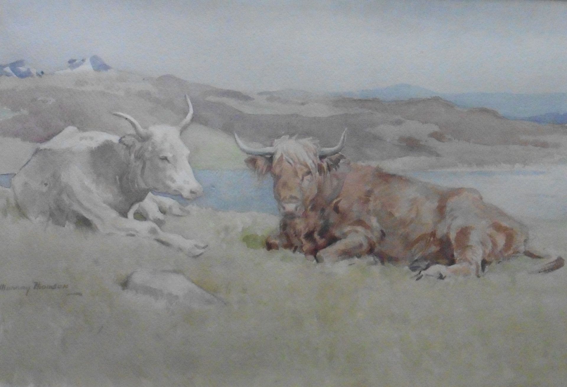 John Murray Thomson, Scottish 1885-1974 signed watercolour 'Grazing in the Sunshine' Title: