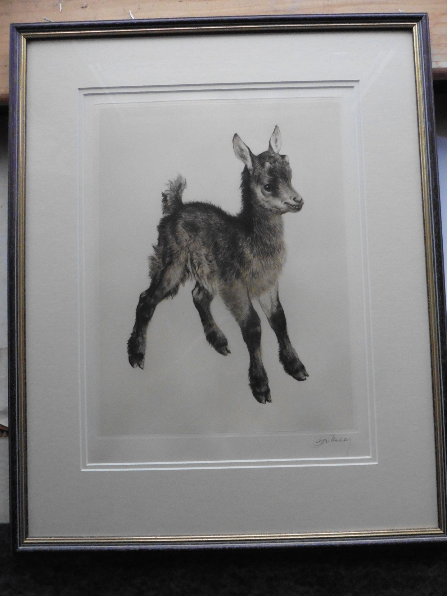 Kurt Meyer Eberhardt (1895 , 1977 ),artist signed etching The Kid (Goat) Title : The Kid Artist : - Bild 4 aus 4