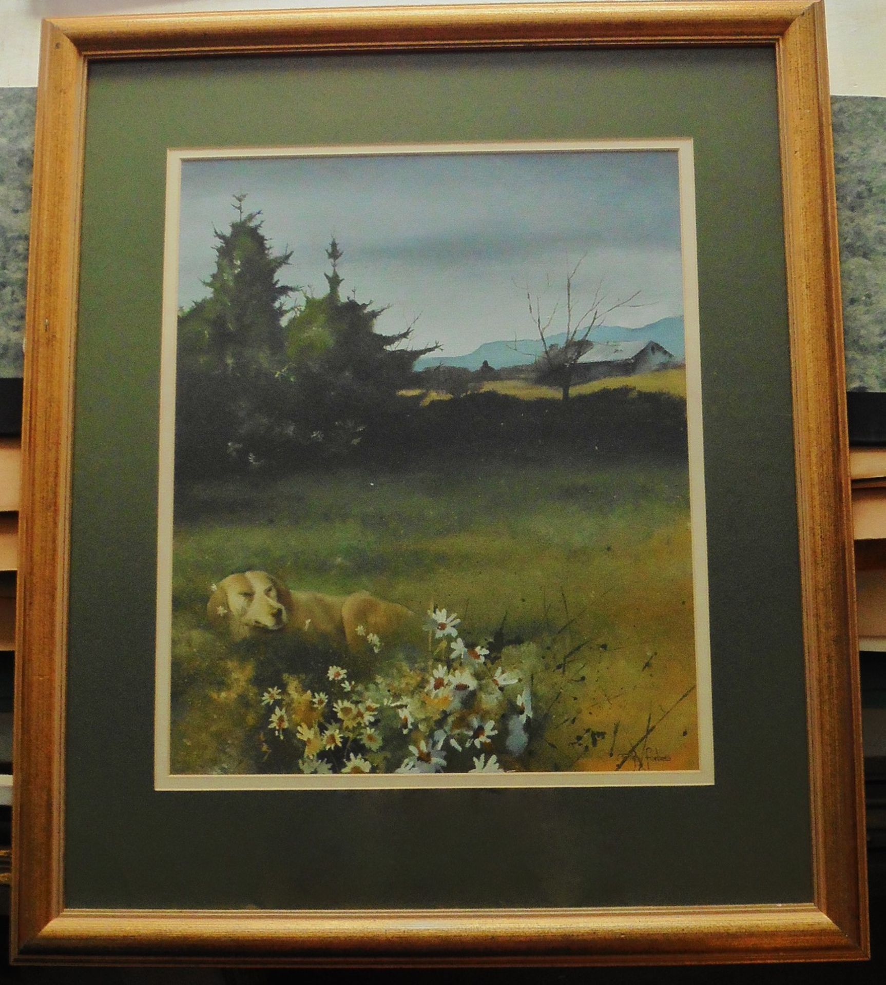 Mike Forbes Scottish Artist Born 1963 signed watercolour Dog in a meadow Title: Dog in a Meadow - Image 2 of 5