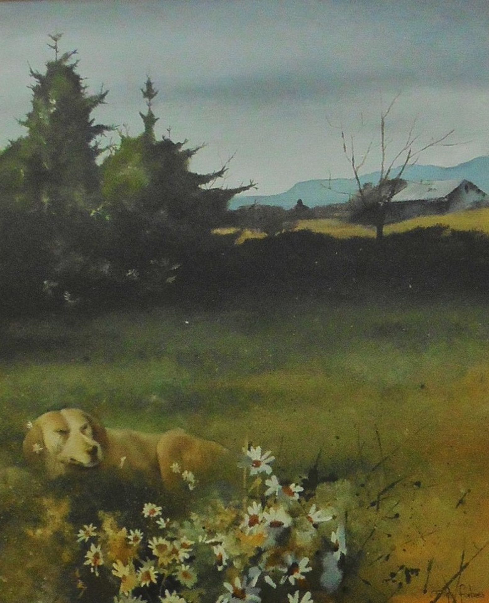 Mike Forbes Scottish Artist Born 1963 signed watercolour Dog in a meadow Title: Dog in a Meadow - Image 5 of 5