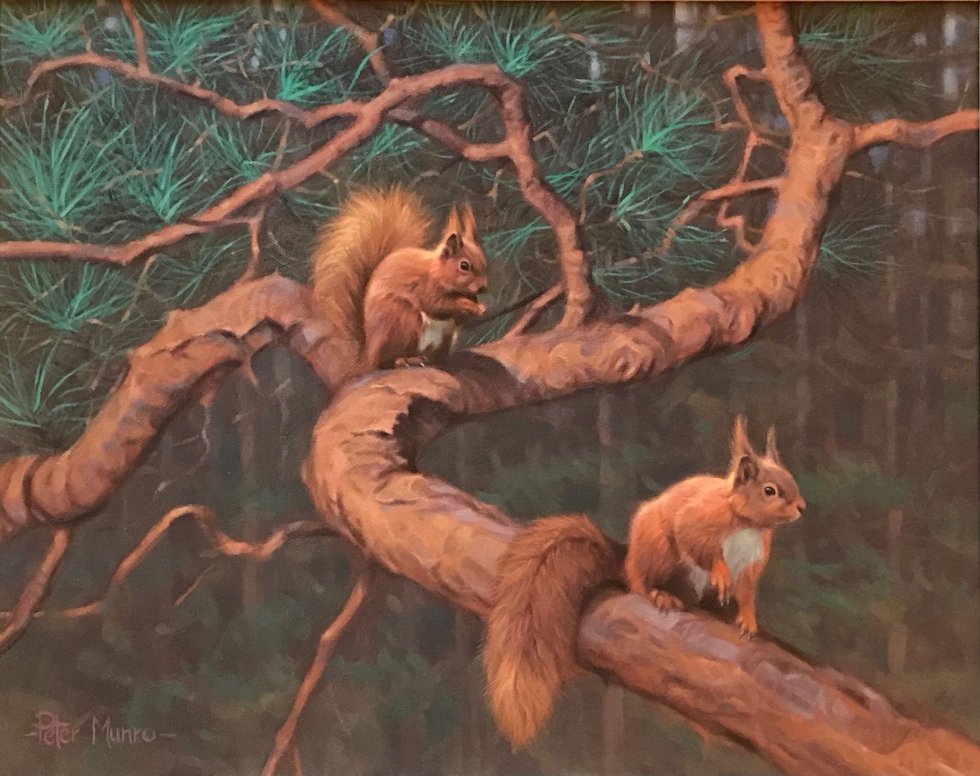 Peter Munro Scottish Bn 1954 signed oil on canvas Squirrels in the Woods Title: Squirrels in the