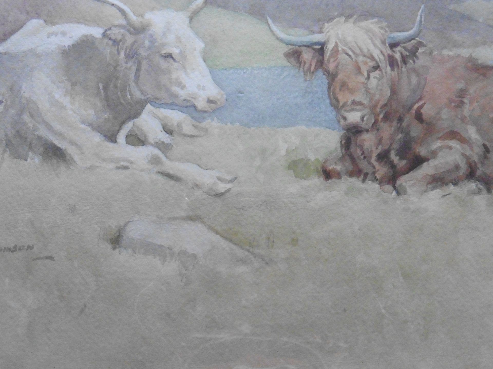 John Murray Thomson, Scottish 1885-1974 signed watercolour 'Grazing in the Sunshine' Title: - Image 5 of 5