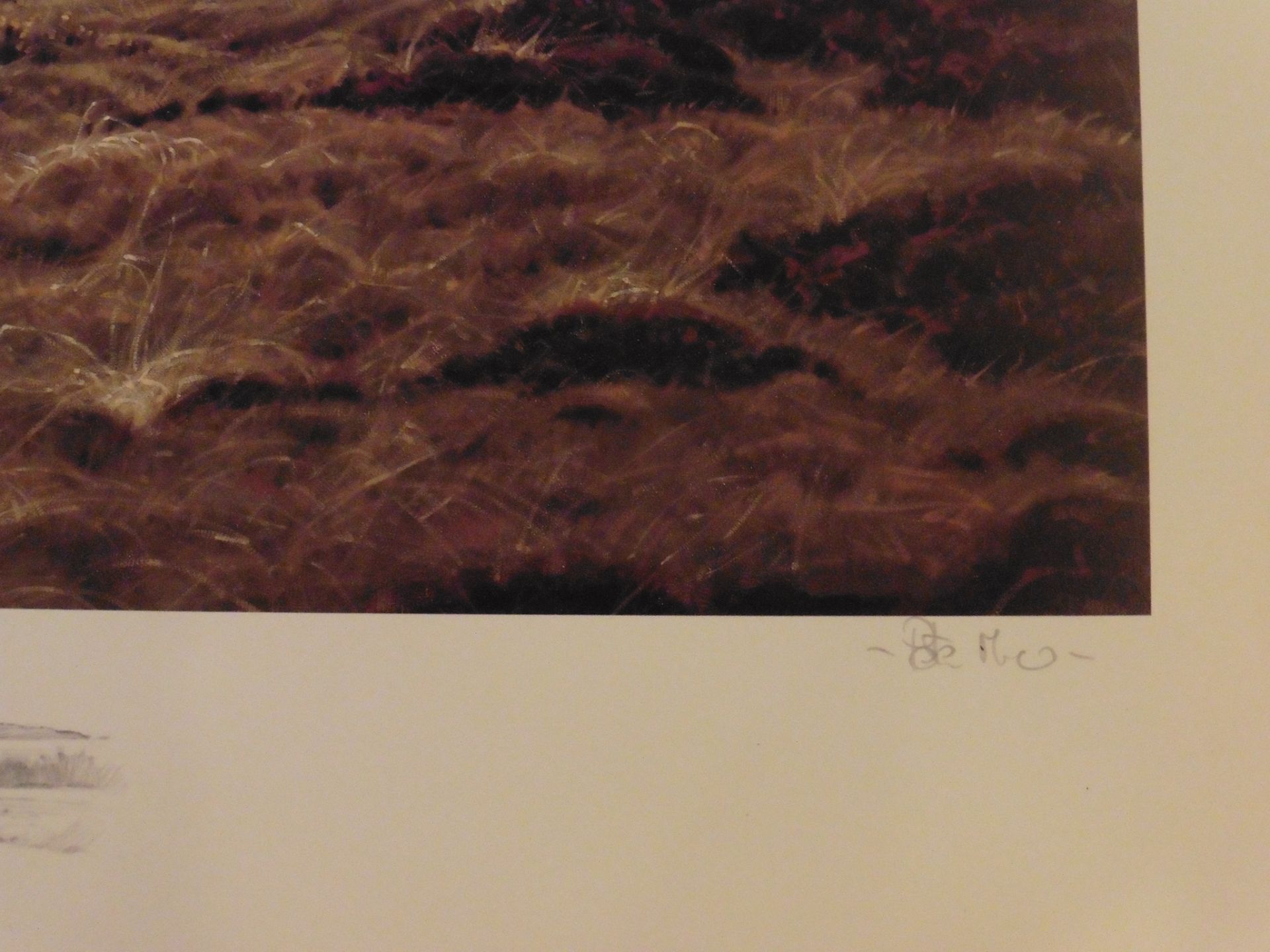 Peter Munro Scottish Bn 1954 signed artist proof Royal Aberdeen golf course Title:Royal Aberdeen - Image 4 of 5