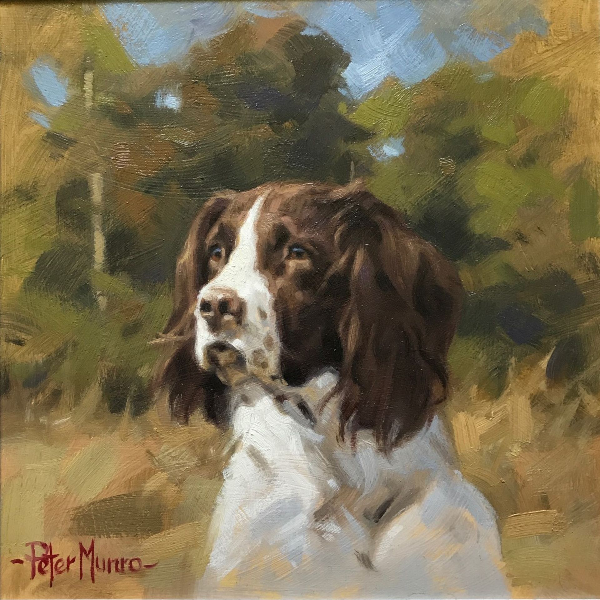 Spaniel by Scottish artist Peter Munro