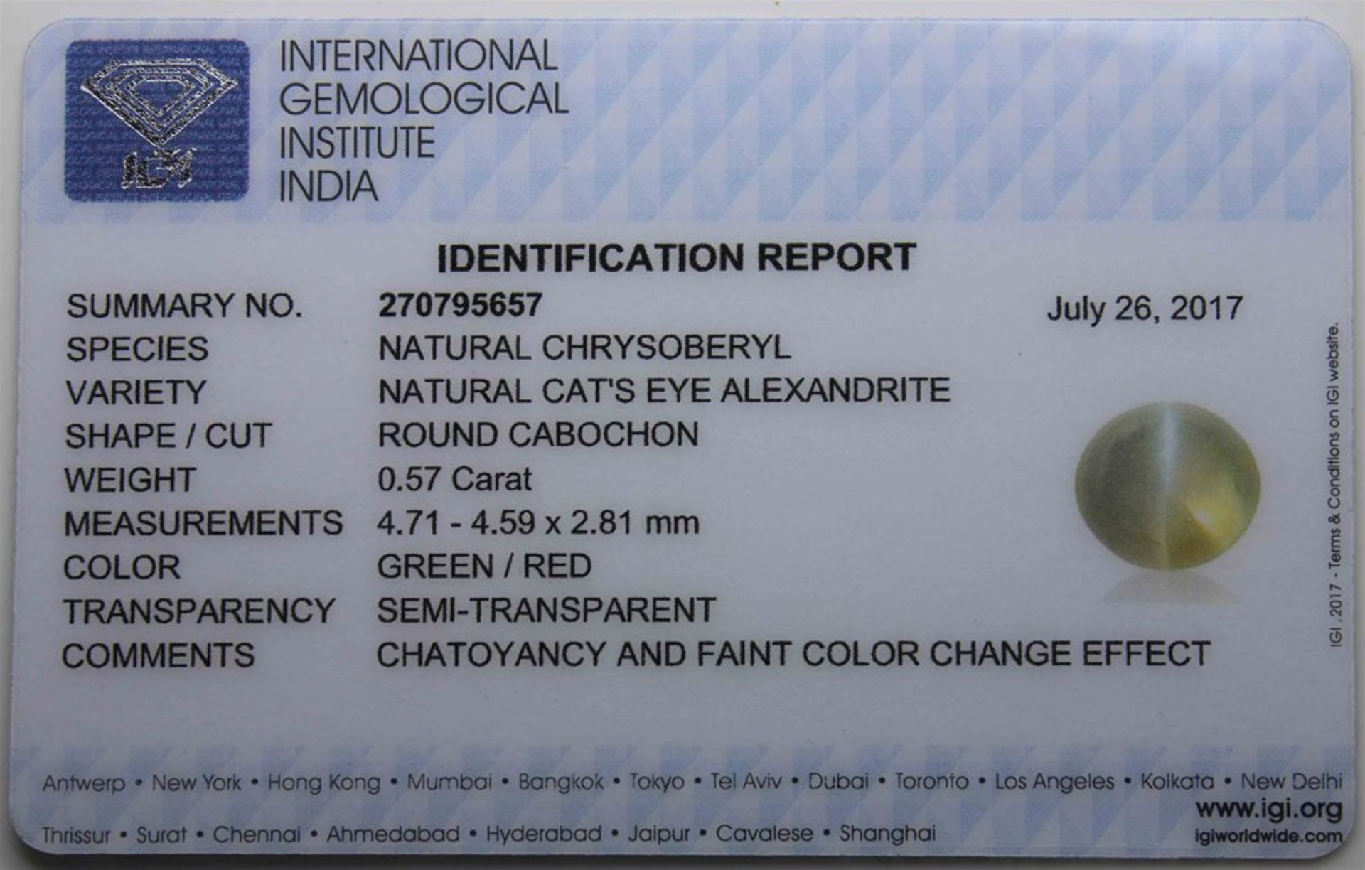 0.57 NO RESERVE - 0.57 CT Alexandrite Cat's Eye With IGI Certificate - Image 3 of 4