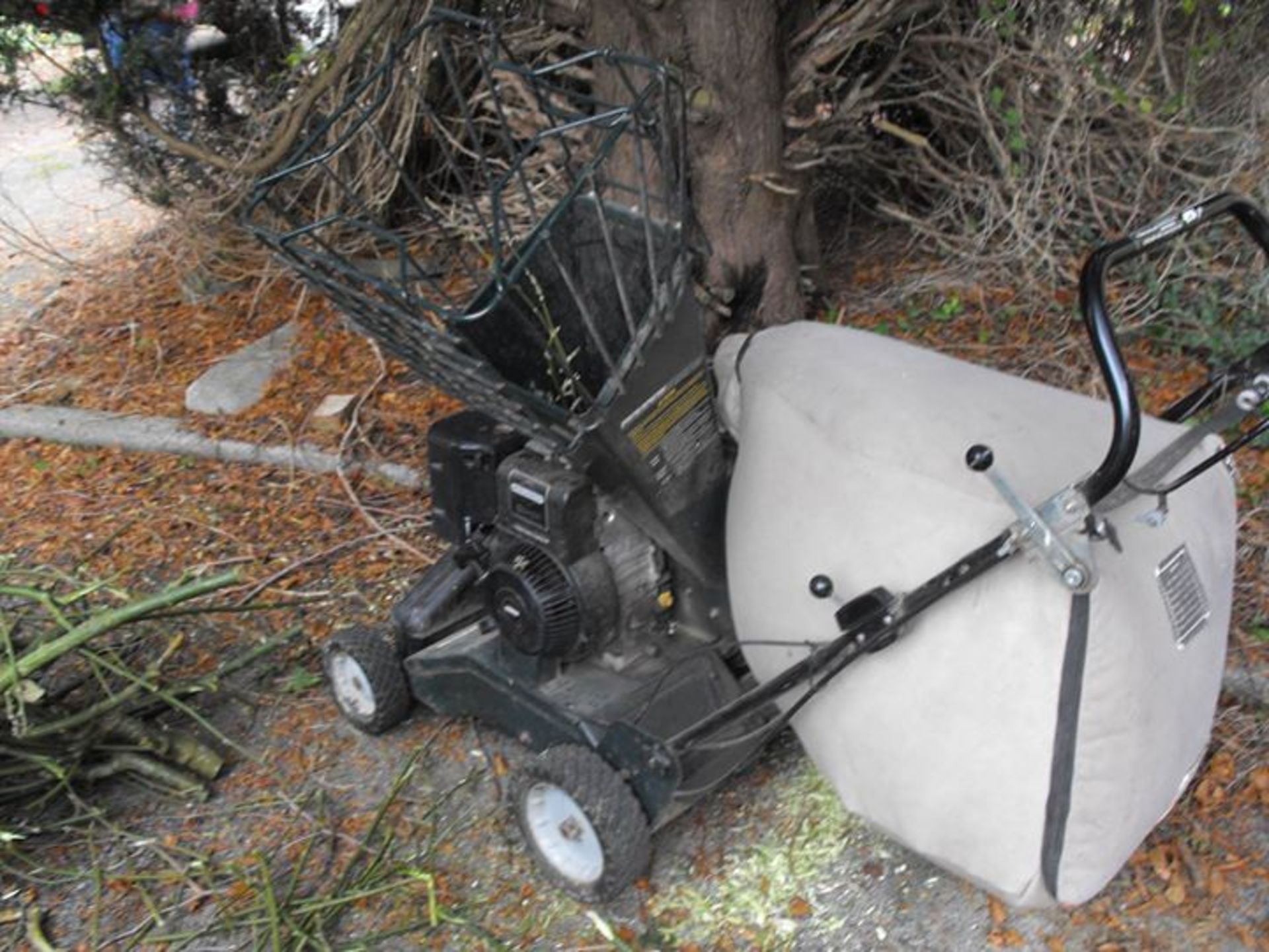 Bolems Garden self propelled Petrol vac / chipper - Image 4 of 5