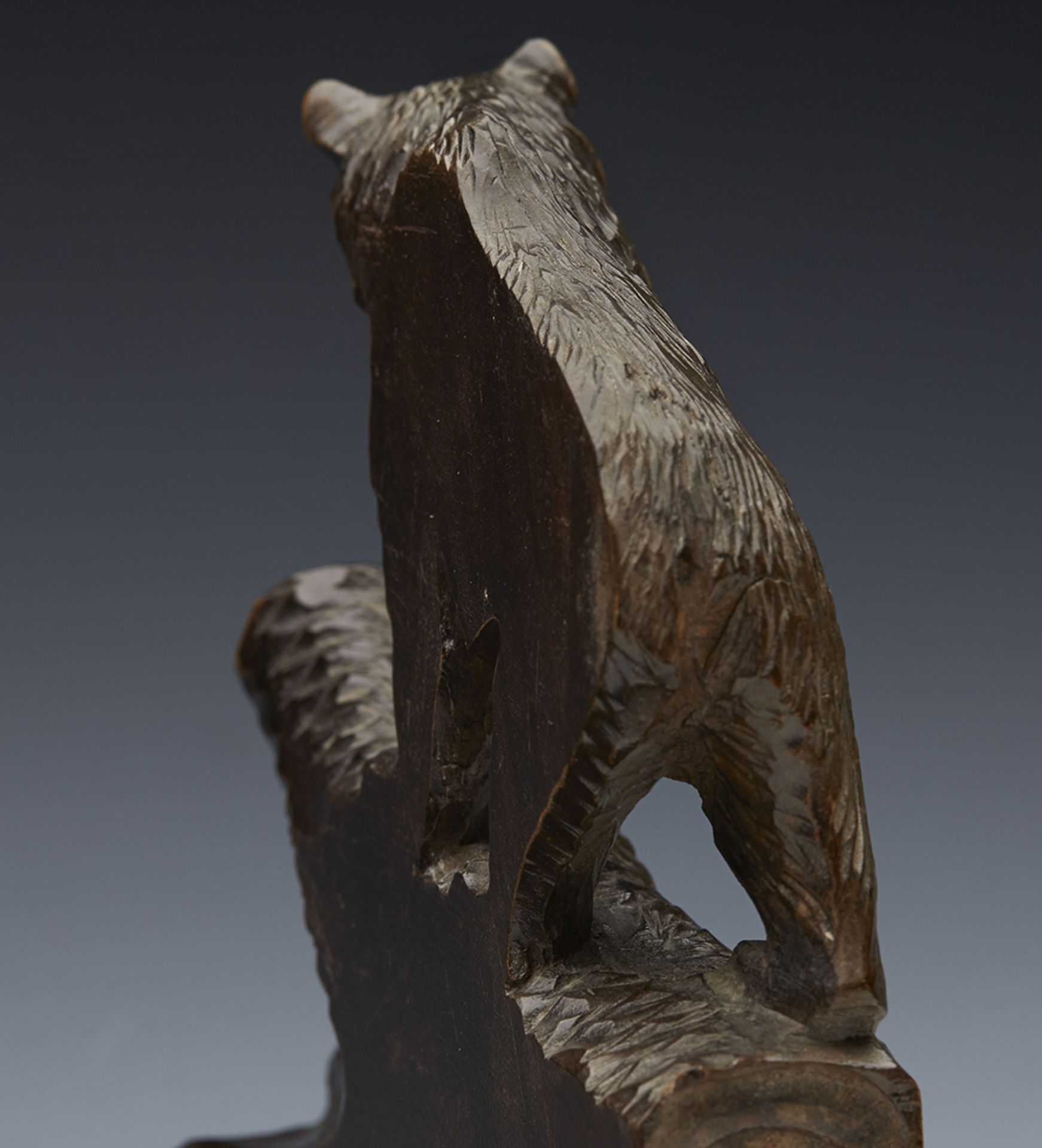 Antique Blackforest Bear Book Stand C.1900 - Image 6 of 10
