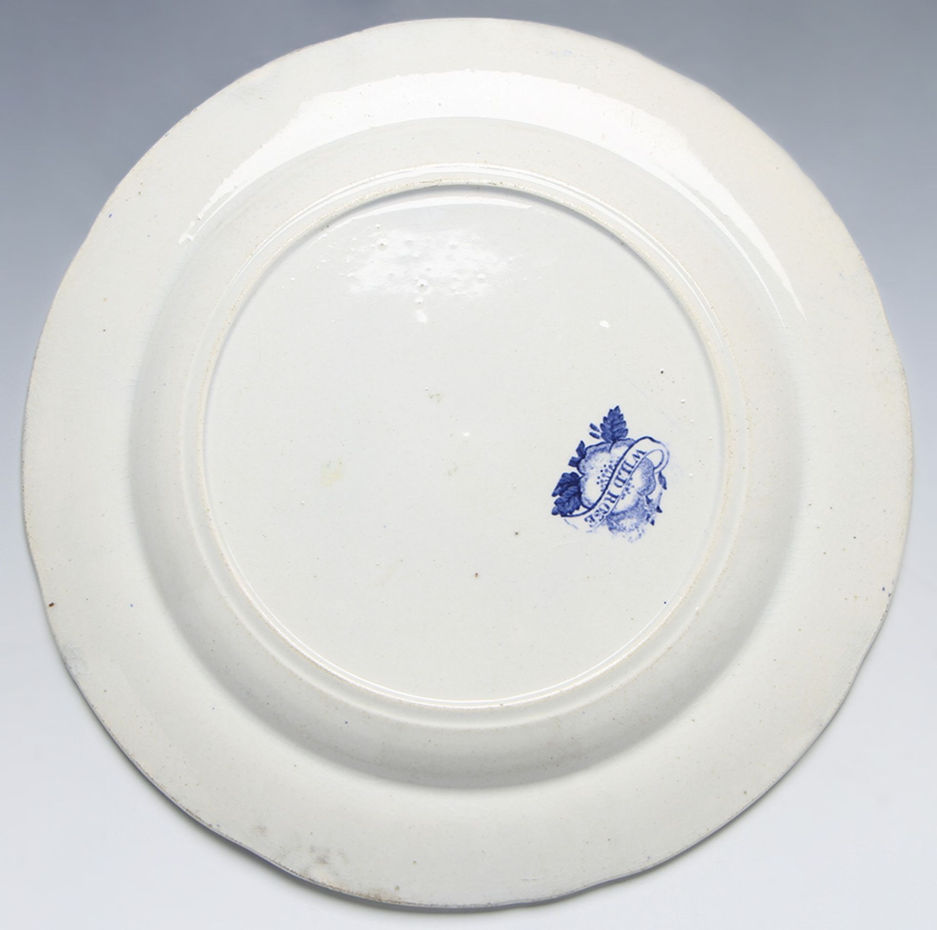 Antique Staffordshire Wild Rose Blue & White Plate C.1830 - Image 4 of 11