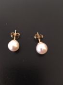 Pearl earrings