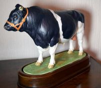 Royal Worcester British Friesian Bull By Doris Lindner
