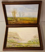 Vintage Retro Kitsch 2 x Framed Paintings Oil On Board Landscape Scenes Signed E. M Clark