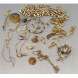 Vintage Retro Parcel of Jewellery Includes Coin, Chains, Earrings Brooches.