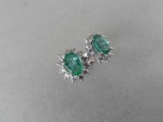 1.60ct emerald and Diamond cluster style stud earrings. Each emerald ( treated ) measures 7mm x