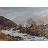 E Greig Hall Scottish artist signed watercolour Glen Torridon Scottish Highland Landscape