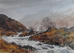E Greig Hall Scottish artist signed watercolour Glen Torridon Scottish Highland Landscape