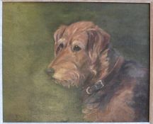 Original oil depicting a terrier dog by Edward Julius Detmold 1883-1957
