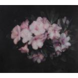 Original oil painting Pink Rhododendron By Scottish artist Andrew Law 1873-1967