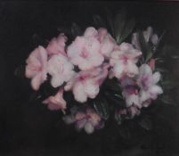 Original oil painting Pink Rhododendron By Scottish artist Andrew Law 1873-1967