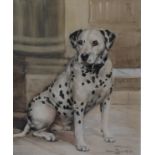 Original watercolour painting Dalmation Dog protrait by British artist Ruben Ward Binks