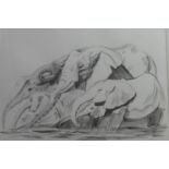 Original signed pen and Ink drawing by Kirsten Harris 'Elephants'