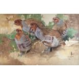 Large Signed watercolour by Scottish artist Ralston Gudgeon RSW depicting a covey of Partridge