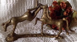 Vintage French Bucking horses collectors