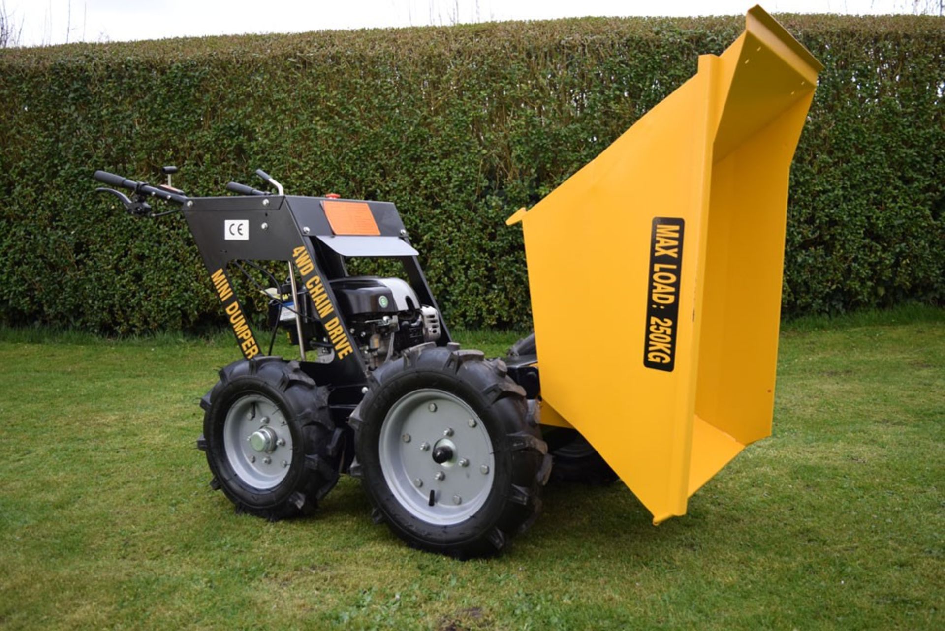 Unused 250kg Mini Dumper 4WD With Chain Drive B&S Engine