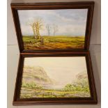 Vintage Retro Kitsch 2 x Framed Paintings Oil On Board Landscape Scenes Signed E. M Clark NO RESERVE