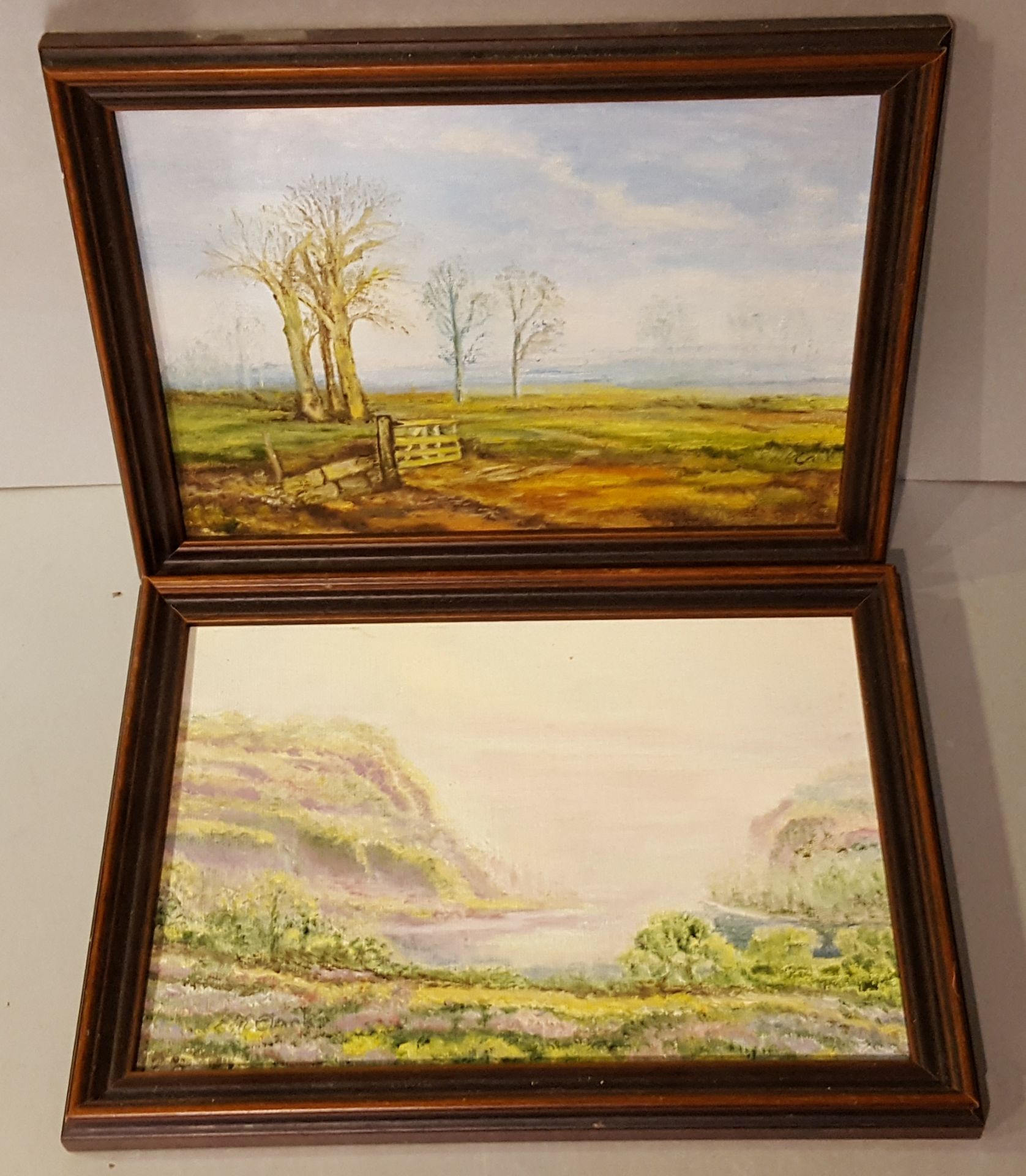 Vintage Retro Kitsch 2 x Framed Paintings Oil On Board Landscape Scenes Signed E. M Clark NO RESERVE