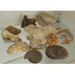 Antique Vintage Collection Fossils Crystals & Geological Items NO RESERVE