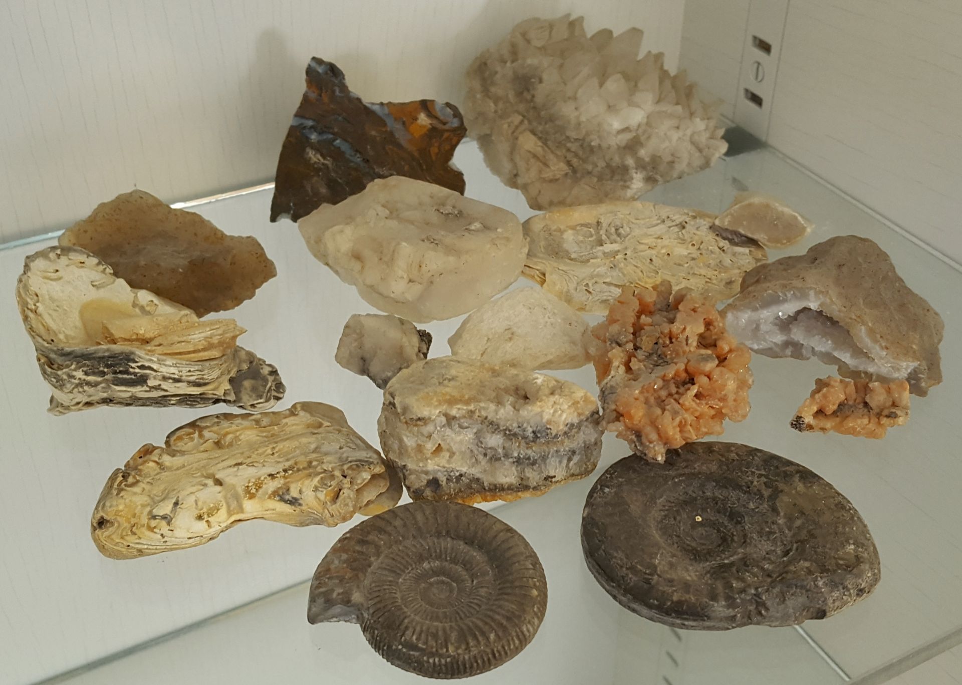 Antique Vintage Collection Fossils Crystals & Geological Items NO RESERVE