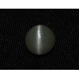 0.52 Ct Igi Certified Chrysoberyl Cat's Eye - Without Reserve