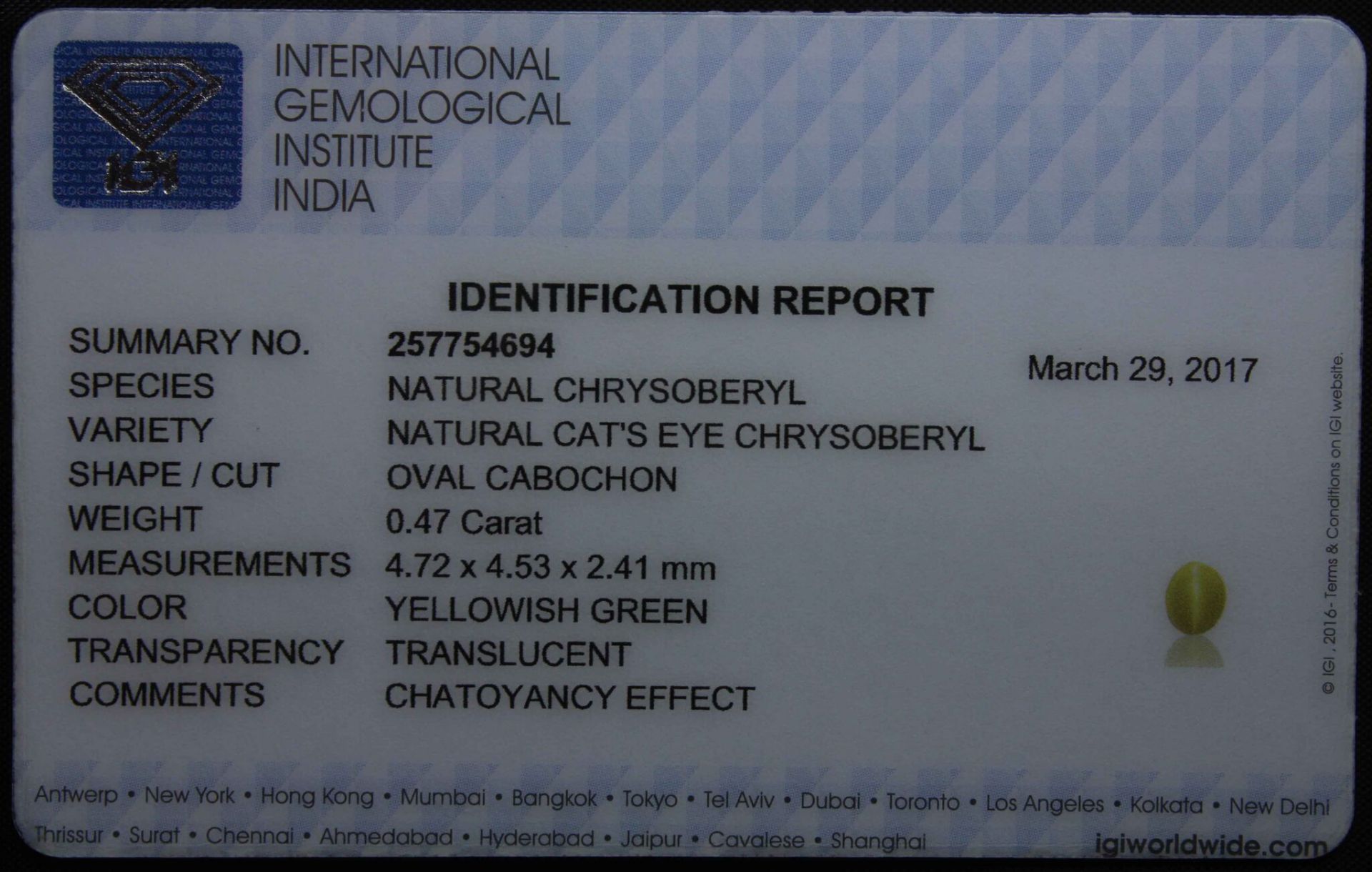 0.47 Ct Igi Certified Chrysoberyl Cat's Eye - Without Reserve - Image 3 of 3