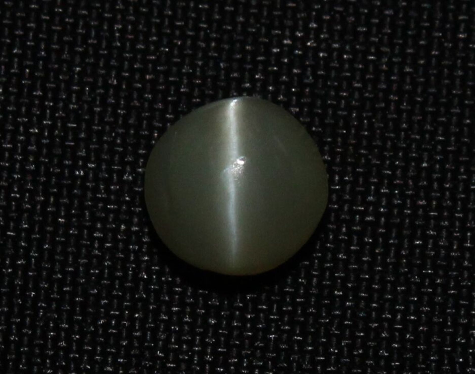 0.66 Ct Igi Certified Chrysoberyl Cat's Eye - Without Reserve